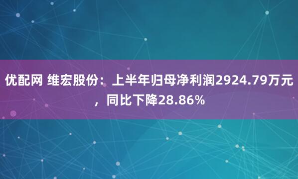 优配网 维宏股份：上半年归母净利润2924.79万元，同比下降28.86%