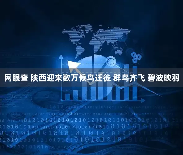 网眼查 陕西迎来数万候鸟迁徙 群鸟齐飞 碧波映羽