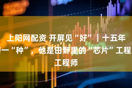 上阳网配资 开屏见“好”｜十五年磨一“种”，他是田野里的“芯片”工程师