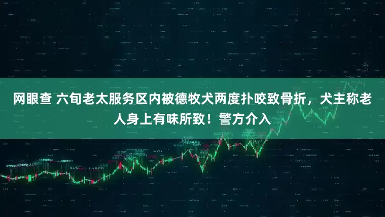 网眼查 六旬老太服务区内被德牧犬两度扑咬致骨折，犬主称老人身上有味所致！警方介入